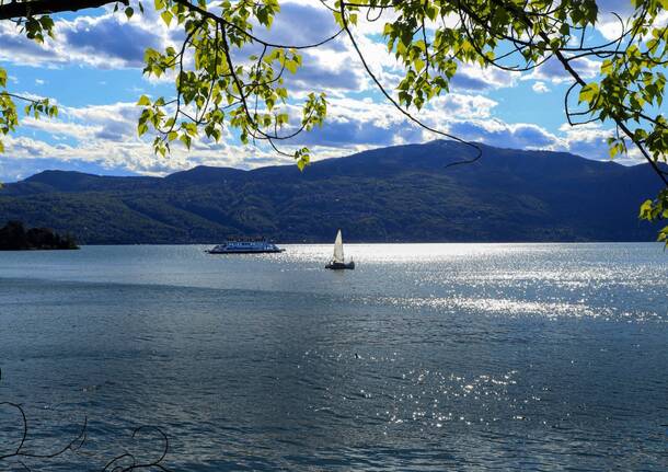 Generico 12 May 2025