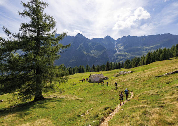 Generico 19 May 2025