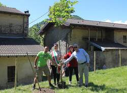 nuovo gelso cittiglio vararo 2025