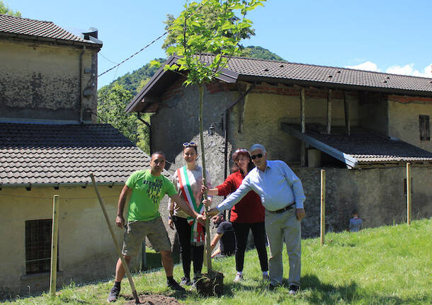 nuovo gelso cittiglio vararo 2025