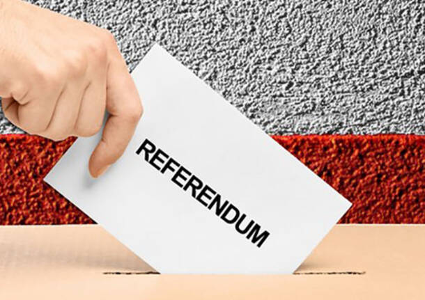 referendum