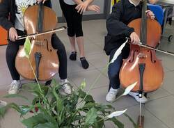 scuole monteggia laveno
