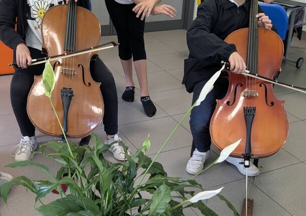scuole monteggia laveno