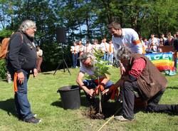 Studenti e istituzioni festeggiano l'arrivo del kaki della pace a Travedona Monate