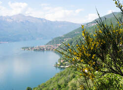 Tappa 8 Cammino Lago Maggiore
