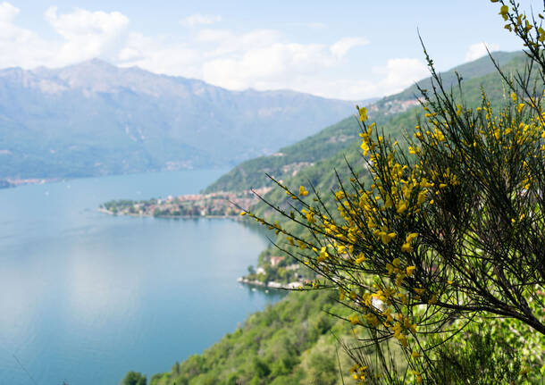 Tappa 8 Cammino Lago Maggiore