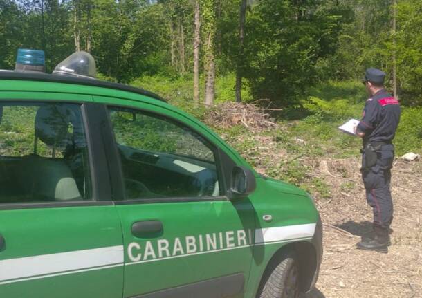 carabinieri forestali