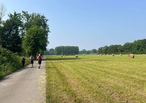 da Varese a Busto con Coop Lombardia lungo la via Francisca del Lucomagno