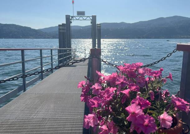 Generico 23 Jun 2025