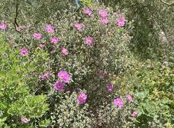 Il racconto della domenica