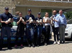 polizia novara cani salvati