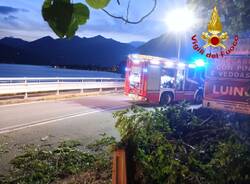 alberi caduto maccagno