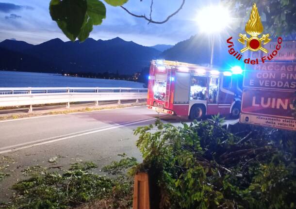 alberi caduto maccagno