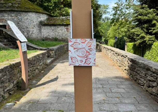 Chicco colombo cazzago brabbia