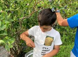 Generico 14 Jul 2025