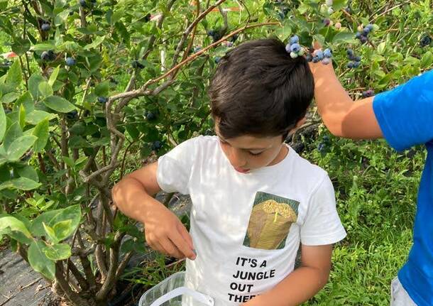 Generico 14 Jul 2025