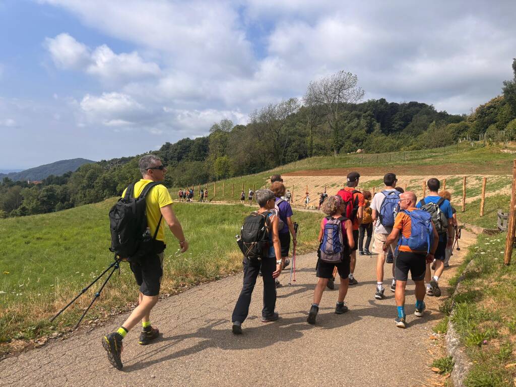 Il cammino di Ermenegildo