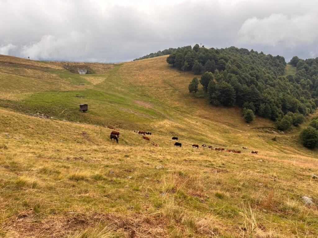 Il cammino di Ermenegildo