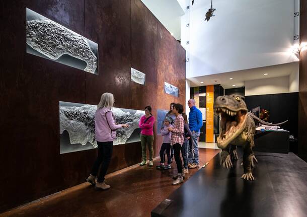 museo dei fossili meride