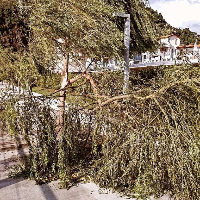 nubifragio maccagno 24 luglio 2025