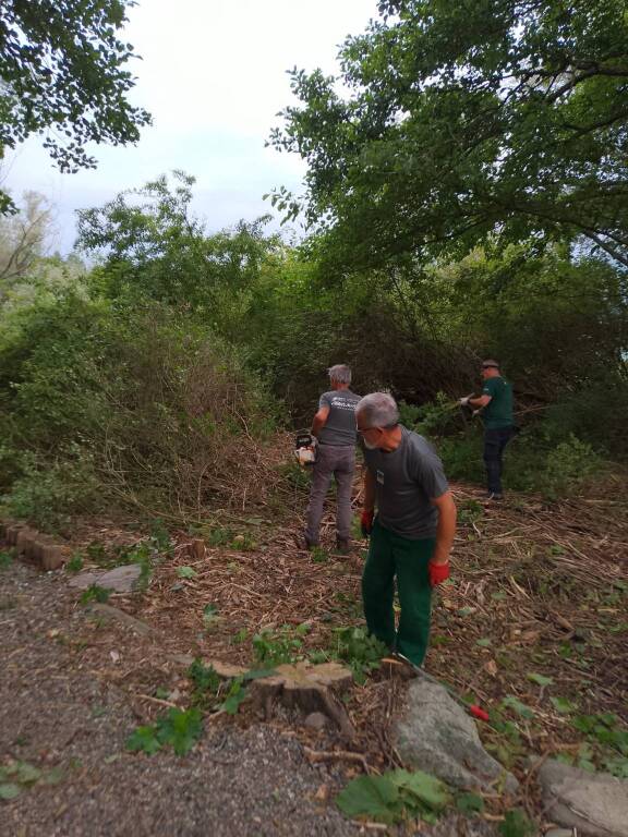 Volontari al lavoro al Golfo della Quassa: pulizia e contenimento delle specie invasive