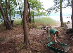 Volontari al lavoro al Golfo della Quassa: pulizia e contenimento delle specie invasive