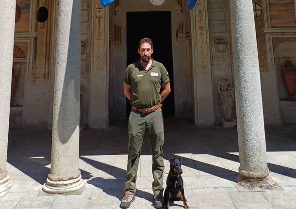 cagnolino in servizio per l'ente aree protette lago maggiore e parco del ticino