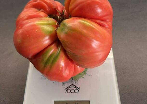 Generico 11 Aug 2025