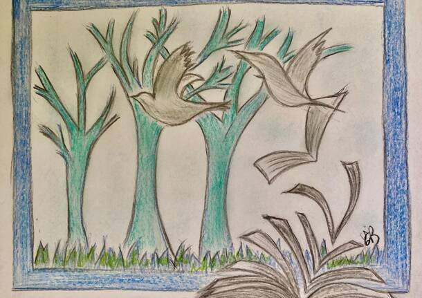 Generico 25 Aug 2025