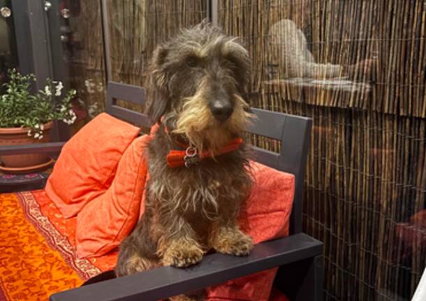 Generico 25 Aug 2025