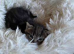 Generico 28 Jul 2025