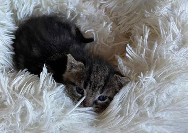 Generico 28 Jul 2025