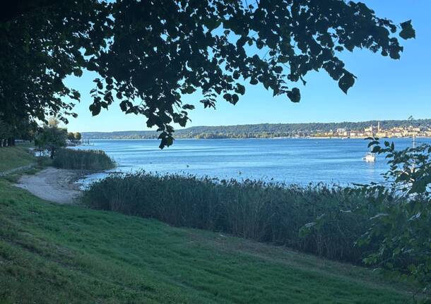 lago maggiore spiaggia foto pika