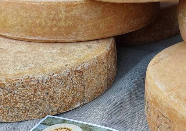 A Crodo “BiancoLatte: l’oro d’Alta Ossola”