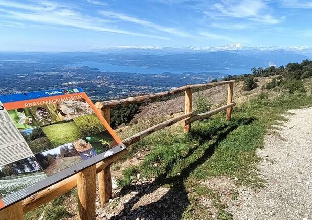 Campo dei fiori - foto robby marcellini