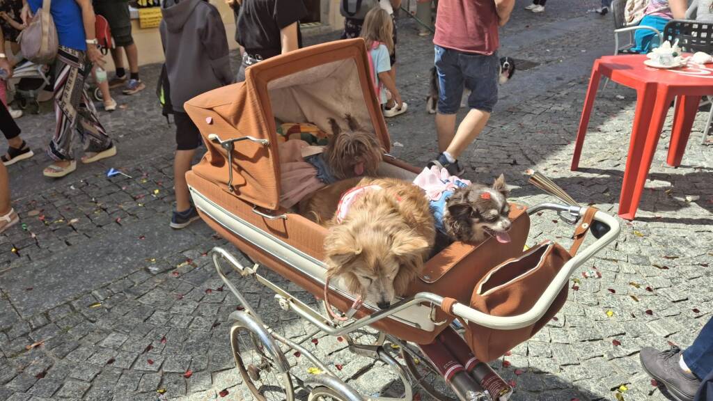 La festa degli Spazzacamini 2025 Santa Maria Maggiore 