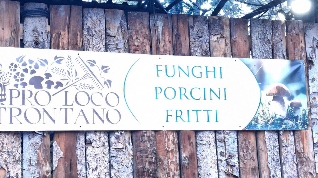 La Festa del Fungo di Trontano 2025