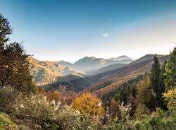 Foliage in Oasi Zegna