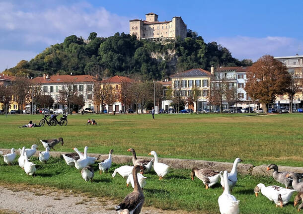 foto del giorno 21 ottobre 2025 lungolago di angera | foto di Giuli Asc