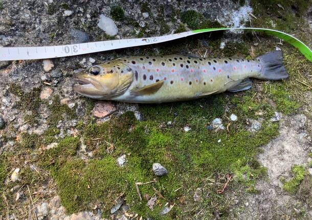 Generico 27 Oct 2025