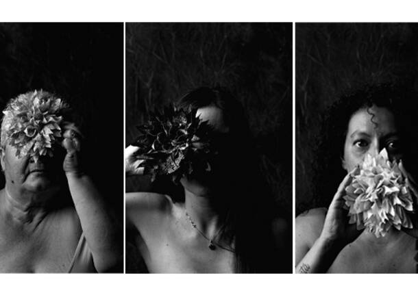 Generico 29 Sep 2025