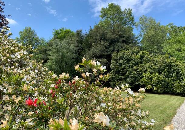 giardino fiori