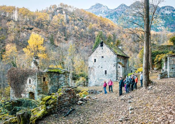 MeleMiele riporta a Baceno i sapori d’autunno e il racconto delle grandi montagne