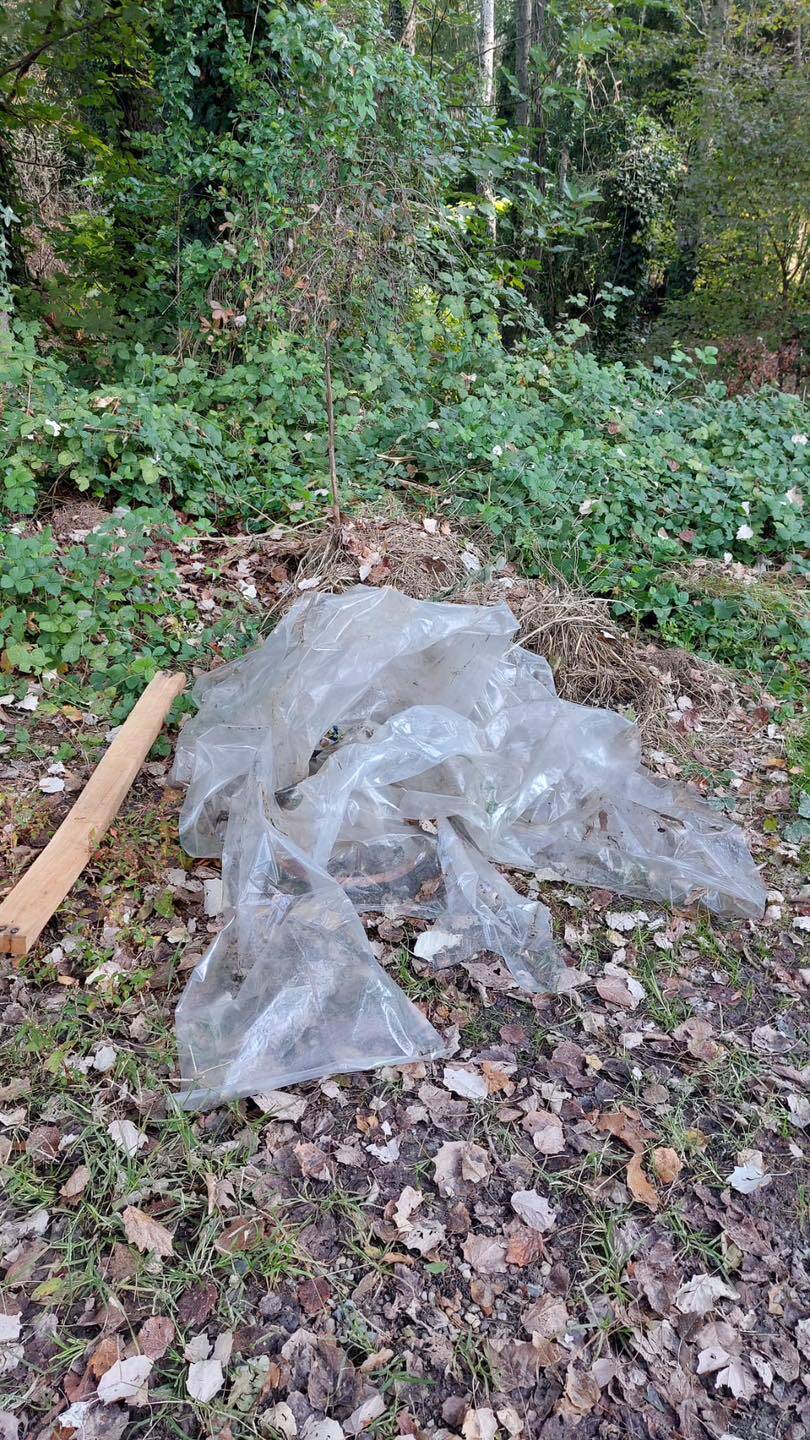 "Puliamo il mondo", a Monvalle i bambini liberano il paese dai rifiuti abbandonati