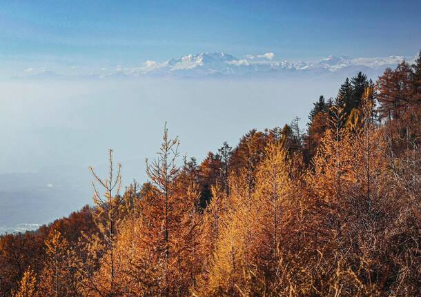 Campo dei Fiori in autunno foto di Natalya Vavilova