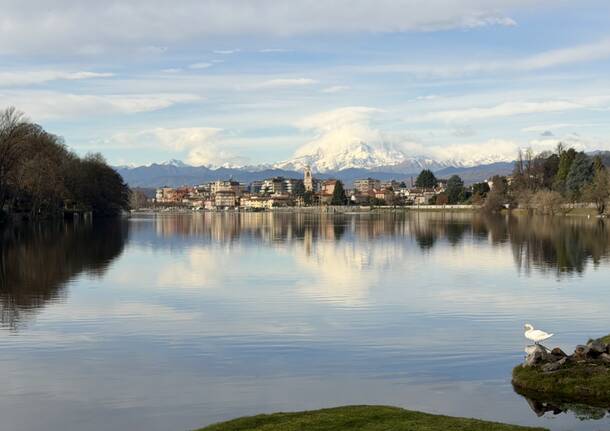 Sesto Calende