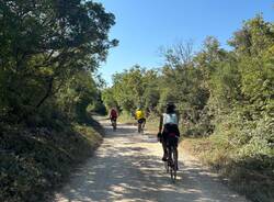 Generico 10 Nov 2025