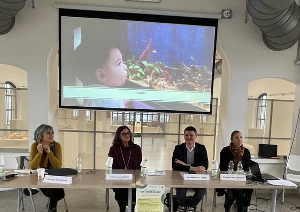 Generico 10 Nov 2025