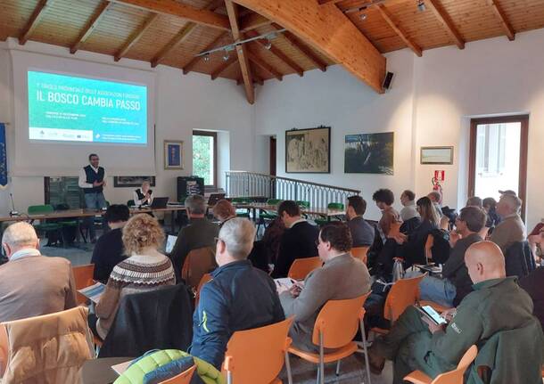 Generico 17 Nov 2025