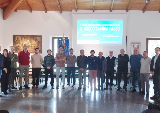 Generico 17 Nov 2025